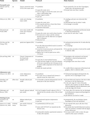 Opportunities and challenges of pain-related myocardial ischemia-reperfusion injury